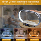 Touch Control Bedside Table Lamp LED Nightstand