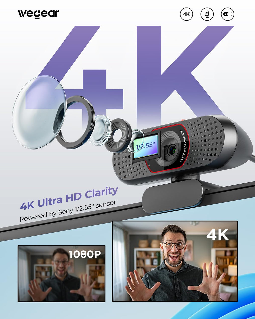 Webcam dual microphone detail